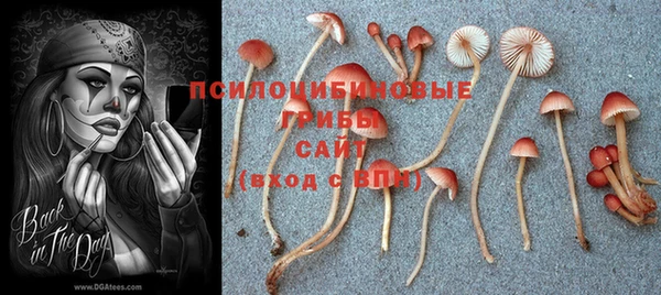 эйфоретик Снежинск