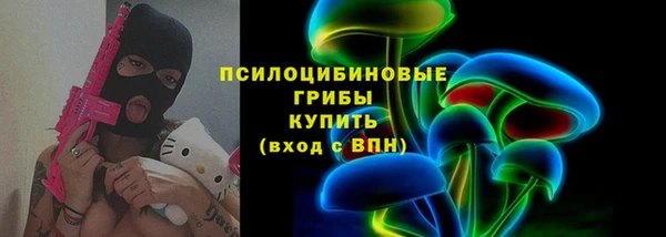 стаф Володарск