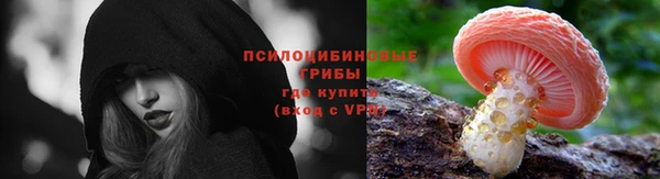 молекула духа Горнозаводск